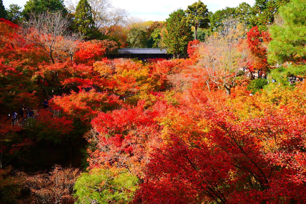 Japaning Hotel Libre Tofukuji Киото Екстериор снимка